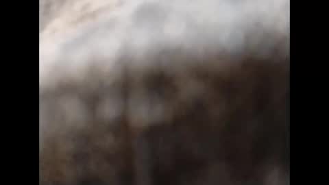 hardandhorny422 online show from 11.11.25