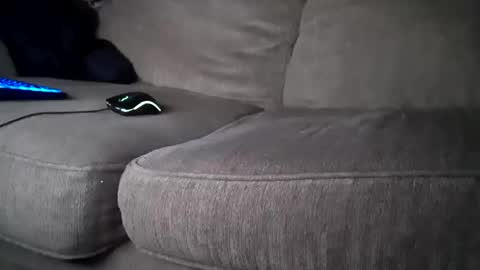 hardcock2share online show from 02.01.25