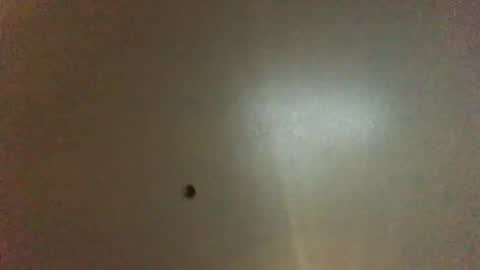 For You online show from 12.02.24