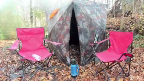 Snapshot of hardworkertn chatting on 11.08.25 hardworkertn online show from 11.08.25