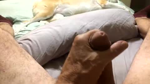 Snapshot of harleycpl chatting on 11.11.25 Harley99 online show from 11.11.25