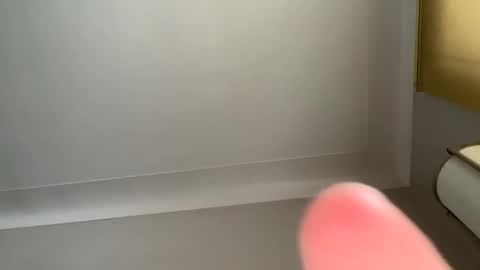 Snapshot of harleycpl chatting on 11.30.25 Harley99 online show from 11.30.25