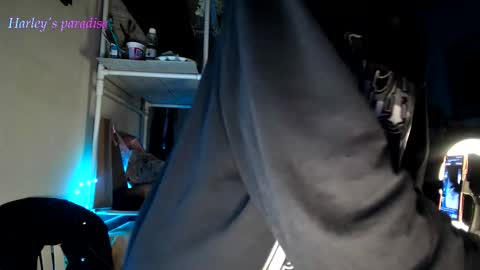 Snapshot of harleyparadise chatting on 11.18.25 900 am to 300 pm - GTM 5 Weekdays online show from 11.18.25