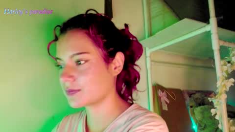 Snapshot of harleyparadise chatting on 11.27.25 900 am to 300 pm - GTM 5 Weekdays online show from 11.27.25