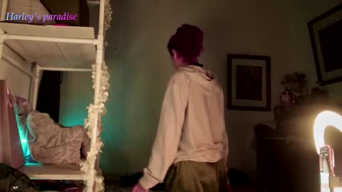 Snapshot of harleyparadise chatting on 11.29.25 900 am to 300 pm - GTM 5 Weekdays online show from 11.29.25