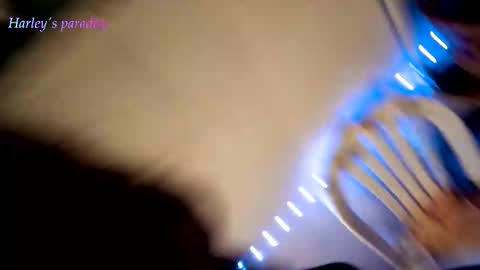 Snapshot of harleyparadise chatting on 02.13.26 900 am to 300 pm - GTM 5 Weekdays online show from 02.13.26