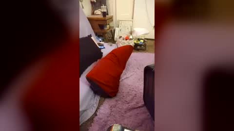 Snapshot of harleyszaddy chatting on 06.15.26 harleyszaddy online show from 06.15.26