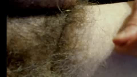 Snapshot of harry_banana chatting on 01.20.25 harry_banana online show from 01.20.25