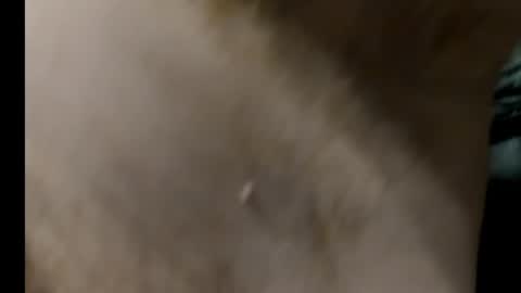 Snapshot of harry_banana chatting on 01.27.25 harry_banana online show from 01.27.25