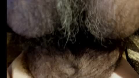 Snapshot of harry_banana chatting on 03.08.25 harry_banana online show from 03.08.25