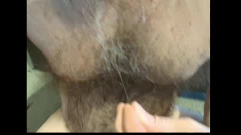 harry_banana online show from 02.27.26