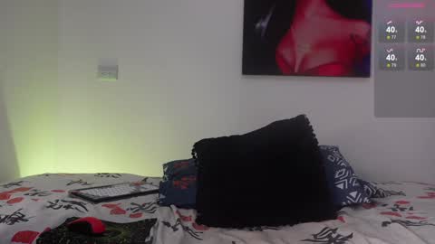 Snapshot of harrytwink18 chatting on 12.20.24 HARRY online show from 12.20.24