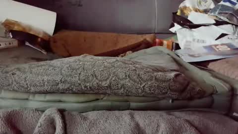 hartl1112 online show from 12.04.25