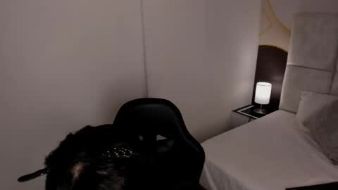 Snapshot of has_gonzalezz chatting on 11.26.25 has_gonzalezz online show from 11.26.25