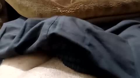 hash86194455 online show from 02.12.25