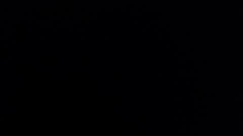 Nicole online show from 03.04.25