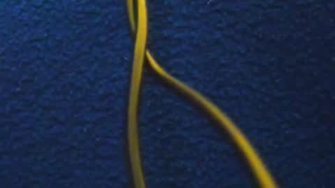 andres online show from 03.05.25