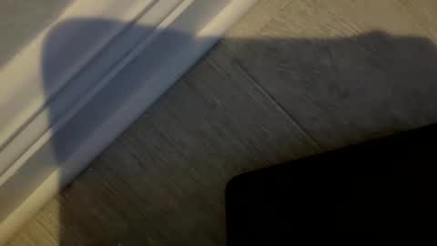 Snapshot of haufd chatting on 01.19.26 haufd online show from 01.19.26