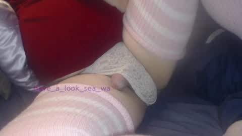 have_a_look_sea_wa online show from 12.19.24