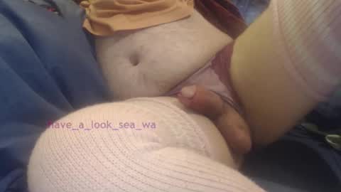 have_a_look_sea_wa online show from 01.12.26