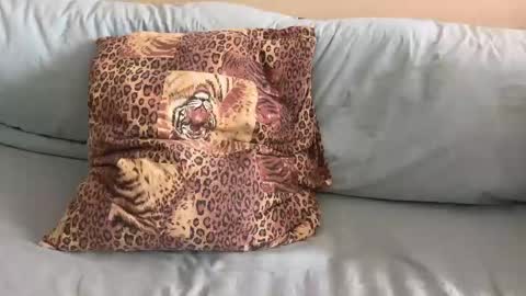 havedream1m online show from 02.10.26