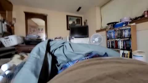 hawkfan1888 online show from 01.02.25