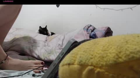 sofia online show from 12.04.25