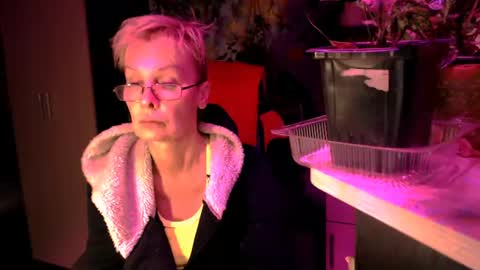 Helga online show from 07.06.26