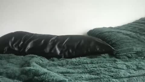 DrixxTheGod online show from 04.05.26