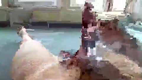 Snapshot of hera44 chatting on 10.09.25 hera44 online show from 10.09.25