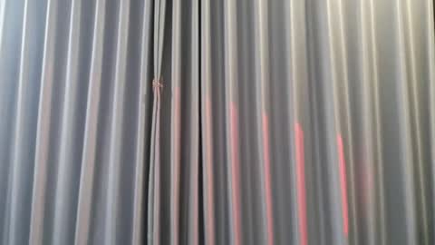 Aran online show from 12.03.25