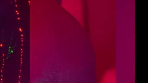 Alina online show from 12.08.24