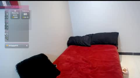 Snapshot of hi_scarlett chatting on 12.17.24 hi_scarlett online show from 12.17.24