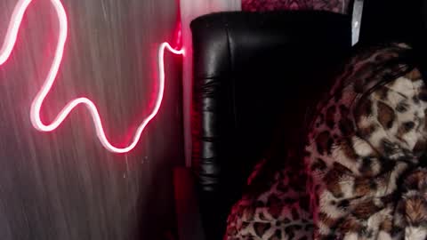 high online show from 03.24.26