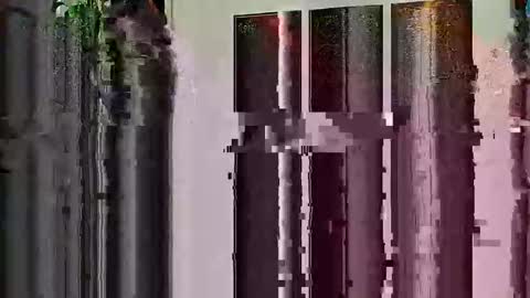 Highandhell online show from 02.19.26