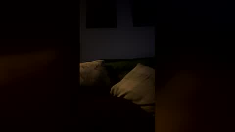 Drake online show from 02.09.26