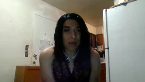 Snapshot of hihheelstranny chatting on 12.22.24 hihheelstranny online show from 12.22.24