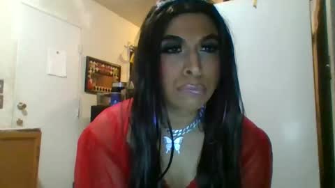 Snapshot of hihheelstranny chatting on 04.25.26 hihheelstranny online show from 04.25.26