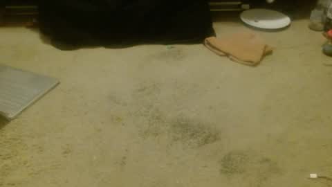 Holly Hawkes online show from 04.17.26