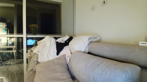 hollyshit_ online show from 09.20.25