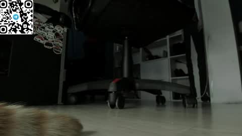 holy_mistresss online show from 04.19.26