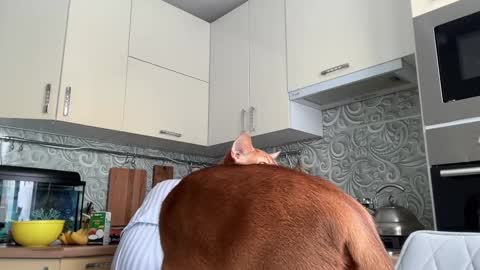 dori not holy get my tg channel with link from description under last photo online show from 02.10.25