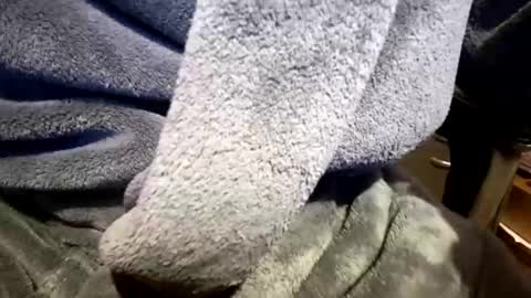 Neal online show from 03.23.26