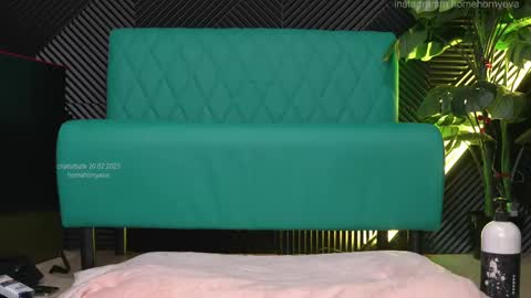 homehornyeva online show from 02.19.25