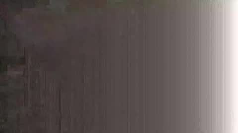 honeybear2026 online show from 11.05.25