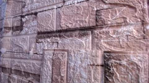 Victoria online show from 03.02.26