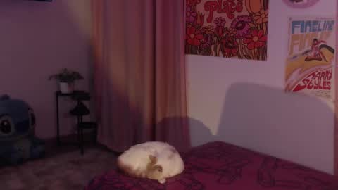 Snapshot of honeyypeaach chatting on 12.11.24 online show from 12.11.24