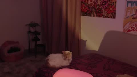 Snapshot of honeyypeaach chatting on 12.18.24 online show from 12.18.24