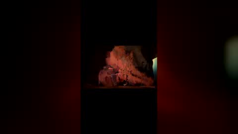 hoodiehoe online show from 03.03.26