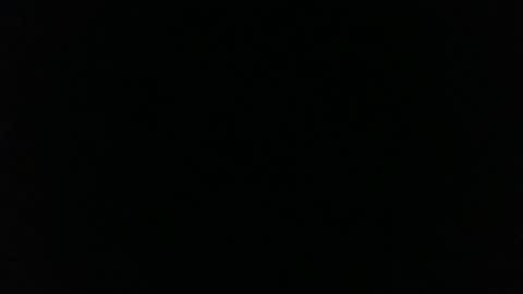 phanice online show from 11.12.25